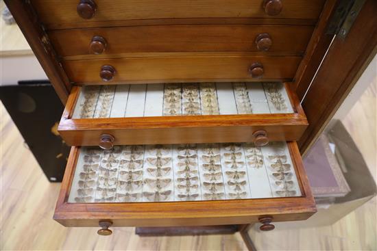 A Victorian mahogany and deal collector cabinet of moth specimens, by J.T Crockett & Son, W.52cm D.47cm H.135cm